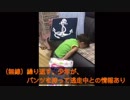 赤ちゃんが パンツ泥棒？！
