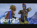 【ファイナルファンタジーX】ただただFFXで遊んでいく part25