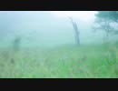 Foggy way / 鏡音レン