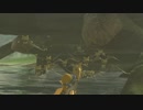 キースの群れが捕獲できた動画