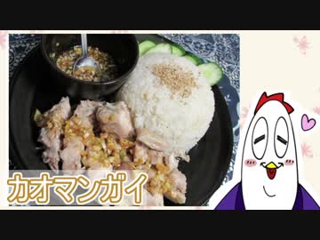 【NWTR料理研究所】カオマンガイ【Vtuber】