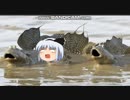 本当にゆっくりな怖い話　其の二