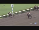 2018/09/08 阪神9R 鳥取特別（3歳上1000万下）【タガノグルナ】