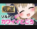 【バーチャルYouTuber】ソルトのかわいいところですよ！【えびふりゃー】