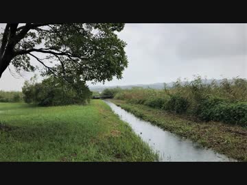 【石川県観光・小松市、Japan Travel Ishikawa、Komatsu】雨の木場潟(Kiba Lake)を北園地付近～西園地～南園地をサイクリング【iPhone7】