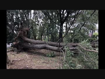 台風に地震、立憲民主の気になったところ