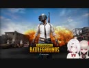 【PUBGまとめ】浮気が発覚した椎名唯華と嫉妬ムーヴのリリムちゃん【にじさんじゲーマーズ】