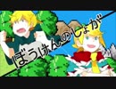 ぼうけんのしょがきえました！歌ってみた_しぐれ×neiro