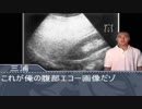 淫夢で学ぶ医学　「脂肪肝のエコー検査」
