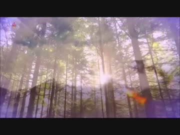 ピチ夫だお （新星 or 明星）