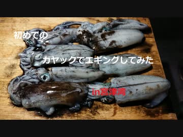 カヤックエギング