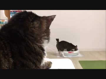 【こげつく】ニコ生ハイライト20180902