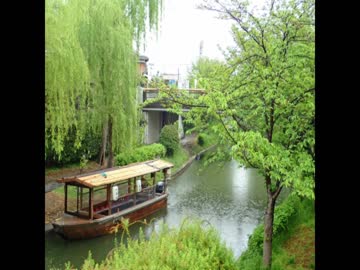 【癒し】穏やかな雨が降る音（睡眠用BGM・作業用BGM）