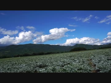 物干しフェザ夫日本ロマンチック街道を行くその3