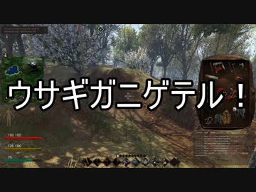 【ゆっくり実況】ありきたりな中世生活サバイバル Part17【Life is Feudal】