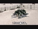 【ナミビア#4】ウェルウィッチアを見る【世界一周】