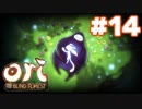 【実況】[# 14] ori AND THE BLIND FOREST[オリとくらやみの森]【雰囲気ゲーとは呼ばせない！】