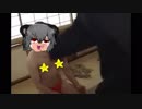 SZのモンハンワールドpart6.mhw