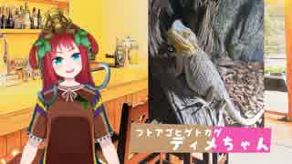 【フトアゴヒゲトカゲ回】Vtuber"たつの"のVはちゅカフェ！