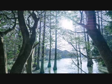 指で耳かき比較音声 / SR3D + ダミーヘッド [ASMR/音フェチ]