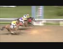 2018年9月11日川崎競馬11R 撫子（なでしこ）特別(B2-二・B3-一) マジックボーイ