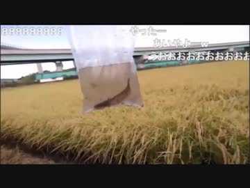 9.11 【魚釣り】メメズチャレンジ