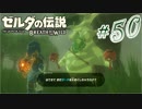 新作ゼルダを風タクしかやったことないうp主がプレイしてしまった part50
