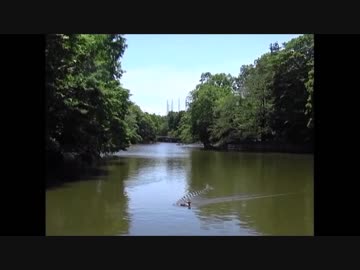 【音楽と景観】東京緑地#11「武蔵関公園」