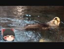 ゆっくりれいむのアクア放浪記　#43　須磨海浜水族園