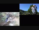 都道府県のVIPPERでブーン 2007年版と2017年版を並べてみた