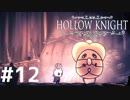 Hollow Knightが楽しすぎた！！【実況】12