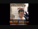 赤ちゃんがテンションMAX？！