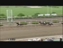 2018年9月12日園田競馬9R 第２７回ＧＪＣエキサイティングジョッキー(C1) イネディットタイド