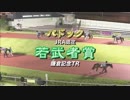 2018年9月13日川崎競馬9R あつぎ国際大道芸２０１８特別(B2・B3) 表彰式