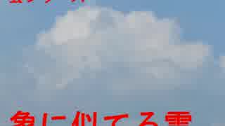 雲シリーズ　象に似てる雲