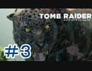 ＃３【アドベンチャー】シャドウ オブ ザ トゥームレイダー【でめきん】