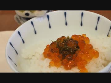 ウサチョフ、北海道へ行くっ！第7回 『シメは美瑛っ！+おまけ』