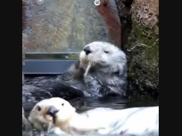 Youtubeへ移動しました