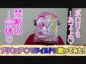 プリキュア○でワイルドに【歌ってみた】
