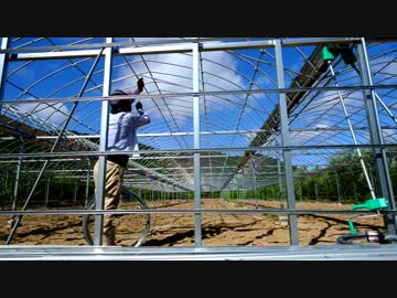 きゅうり栽培実況vol.50   ハウスを作る編④実際にきゅうりを作るときのことを考えて。。。