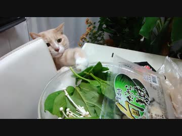 泥棒ぷっぷに天罰・・・