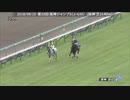 2018年　第20回 阪神ジャンプS（J・GⅢ）【アップトゥデイト】