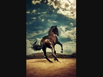 ゆっくりが解説する地方競馬列伝　番外編その２