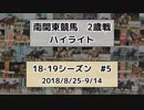 南関東競馬2歳戦ハイライト【18-19シーズン#5】