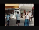 シバノソウ - EVERGREEN