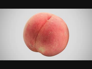 SNNM姉貴新発掘音声集 / LisPon編
