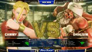 SCR2018 スト5AE PoolB4 LosersFinal マゴ vs Dankadillas