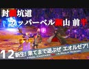 【最初からFF14実況】新生！果てまで遊ぶぜ エオルゼア！#12