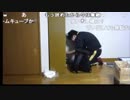 【ハコッス】『人生縛りでドラゴンクエストモンスターズテリーのワンダーランド最終回』 12/12