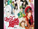 はたらく細胞ＯＰ　「ミッション！健・康・第・イチ」立体音響.var